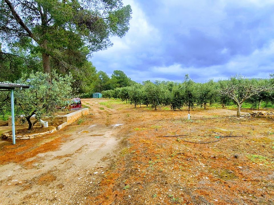 Finca i Tivissa, Tarragona - bilde 4